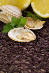 seafood, clams on fishing net