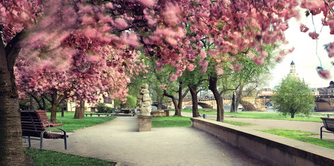 Dresden Frühling Panorama