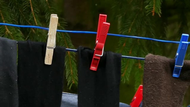 Grey and black socks on clothesline rope fixed with colorful clothes pegs. Natural background with evergreens.