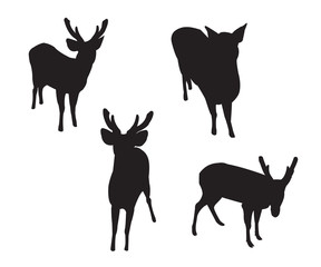 Deer Set Silhouettes on the white background