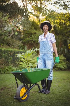 Smiling Woman Pushing Wheelbarrow