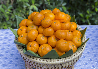 Mini fresh orange on rattan basket 