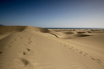 Fototapeta na wymiar Sand dunes with steps in the sand to infinity. Beautiful nature beach on the island. Wide shot. Desert expedition. Spain - Gran Canaria - Maspalomas