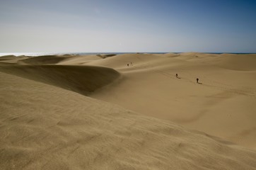Fototapeta na wymiar Sand dunes with walking people and ocean behind. Beautiful nature beach on the island. Desert expedition. Wide shot. Spain - Gran Canaria - Maspalomas