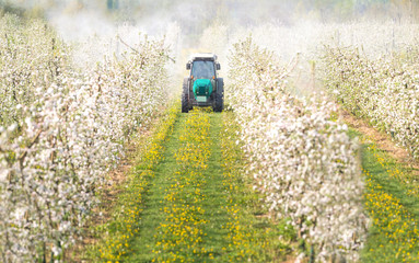 Tractor sprays insecticide