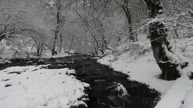 RIO EN INVIERNO MIENTRAS NIEVA