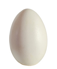 Large white goose egg, isolated on white background, close up