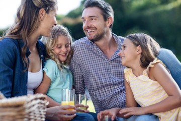 Happy family having a picnic