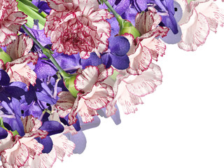 Floral background. Carnations and Orchids 