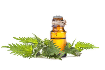 Essential oil made from nettle on a white background