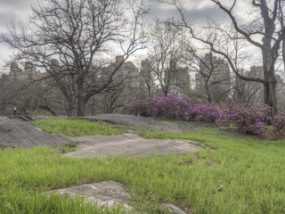 Central Park, New York City spring