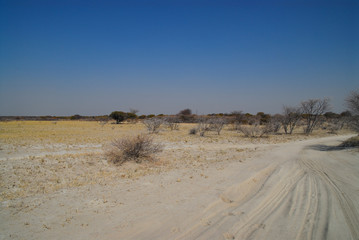 Landschaft in Afrika Namibia