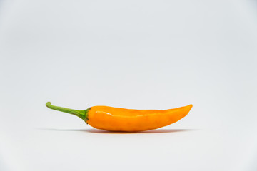 Fresh orange chilli pepper with white background