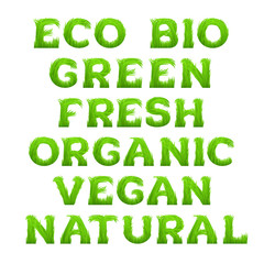 Eco friendly inscription with circle frame made of grass isolated on white background.