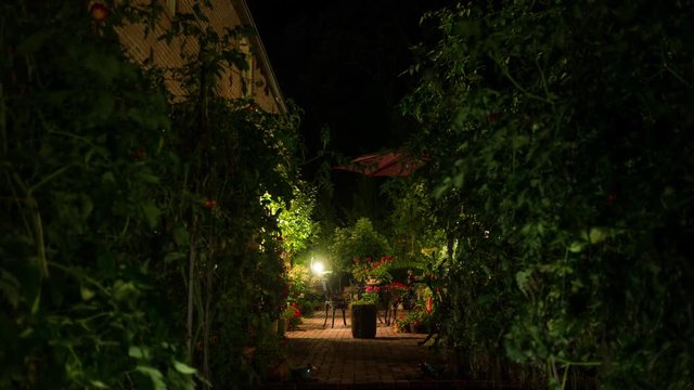 Idyllic backyard patio scene with colorful and lush flowers and tomato trees in the evening. Dolly shot.