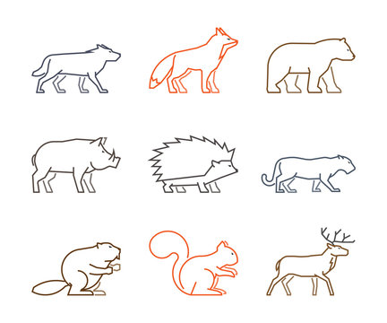 Colored outline set of forest animals. Line silhouettes wild animals isolated on white. Vector icons boar, squirrels, deer and beaver. Linear symbol fox, puma, wolf and bear.