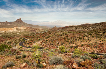 scenic road in the Mojave national park