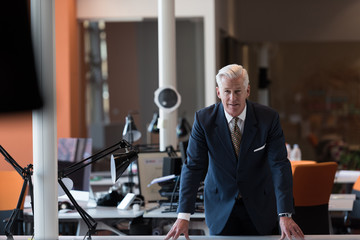 portrait of handsome senior business man at modern office
