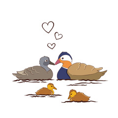 Duck family - mother duck, drake dad and ducklings