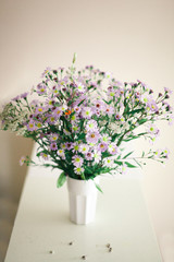 autumn asters