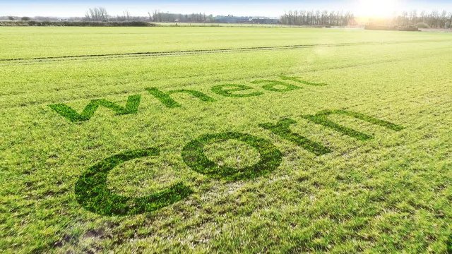 Aerial shot of farm land crops following tractor tracks with conceptual text outlining possible crop types