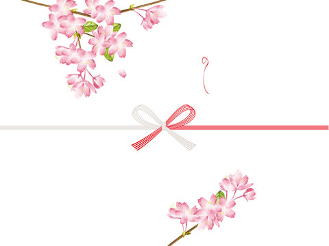 cherry blossoms noshi paper : japanese envelope decoration