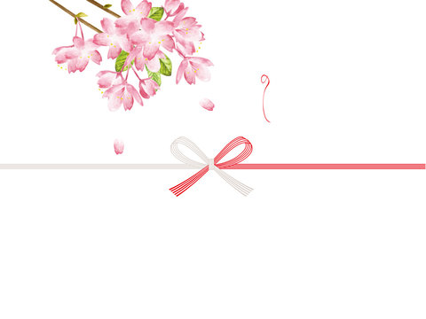 cherry blossoms noshi paper : japanese envelope decoration