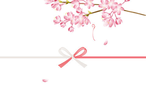 cherry blossoms noshi paper : japanese envelope decoration