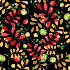  Листья красные и желтые, крыжовник и виноград на черном фоне акварелью