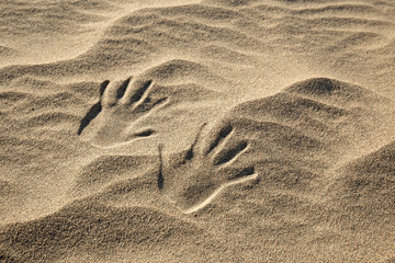 close up of two handprints on the sand