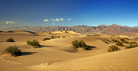 Fototapeta na wymiar panoramic view of sand dunes in Death Valley