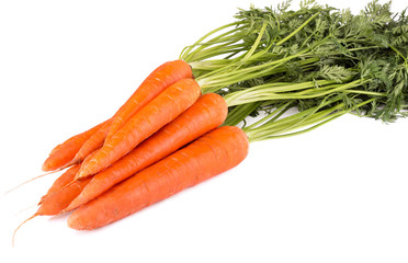 Bunch of carrots with green leaves isolated on white background - 107521415