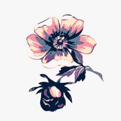 Branch with flowers roses isolated. Vintage grunge background. Vector illustration