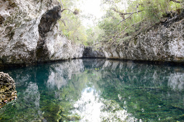 Forest with a cenote at Giron