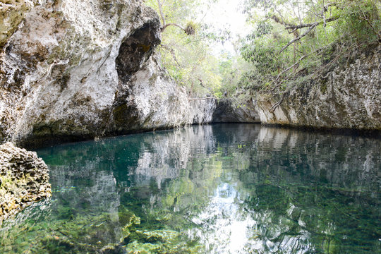 Forest with a cenote at Giron