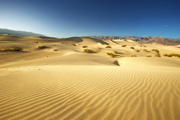 Fototapeta na wymiar sand dunes in Death Valley National Park