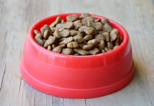 pet food in red plastic bowl