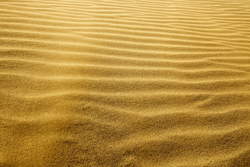 Fototapeta na wymiar close up of golden sand waves in the sunlight
