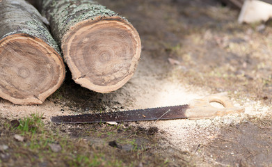Распил бревен пилой