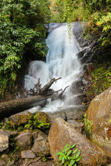 Small waterfall in rain forest