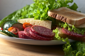 toasts with salami, cheese and salad