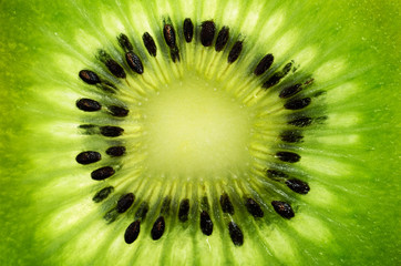 slice of kiwi fruit on a full frame horizontal