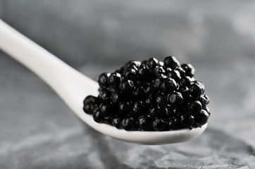 black caviar in a white ceramic spoon on a gray background
