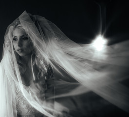 Beautiful fairytale blonde bride posing in wedding dress under v