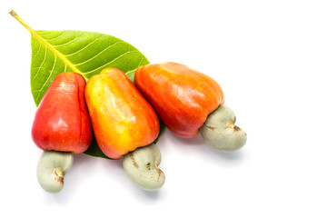 Tropical Cashew fruits on white background (Anacardium occidenta