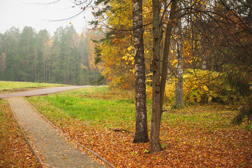 Path in the autumn Park
