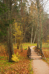 Golden autumn Park