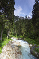 Obraz premium kleiner Bach in den Bayerischen Alpen