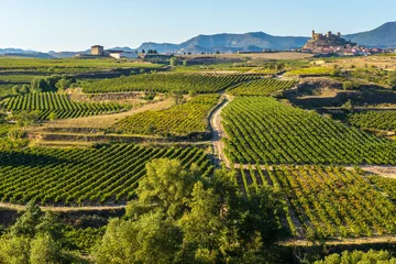 Fototapete Rund Viñedo, San Vicente de la Sonsierra al fondo, La Rioja (España) © Noradoa