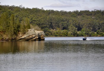 Shoalhaven River scene with a speedboat approaching  near Nowra, New South Wales Australia